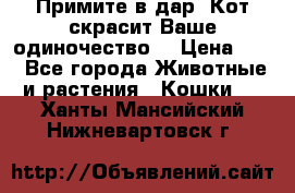 Примите в дар. Кот скрасит Ваше одиночество. › Цена ­ 0 - Все города Животные и растения » Кошки   . Ханты-Мансийский,Нижневартовск г.